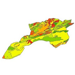 نقشه ی زمین شناسی شهرستان بردسکن