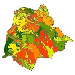 نقشه ی زمین شناسی شهرستان جیرفت
