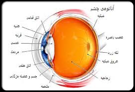 دانلود پاورپوینت ساختمان ساختمان چشم انسان (آناتومی چشم) بیماری های چشمی جراحی های چشم دانستنیهای چشم